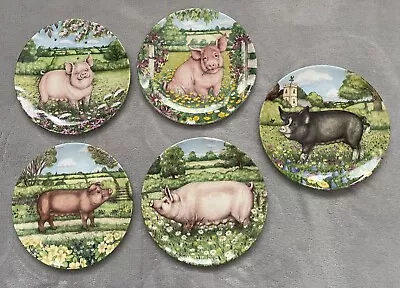 Buy Pigs In Bloom Royal Doulton Collectors Plates   Select Plate • 5£