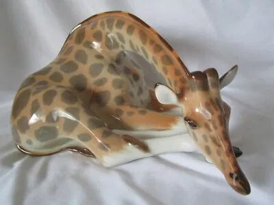 Buy Lomonosov Porcelain Large Resting Giraffe - Figurine • 108.46£
