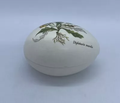 Buy Poole Pottery Egg Shaped Trinket Box With Lid. Flower, Diplotaxis Muralis Design • 12.50£