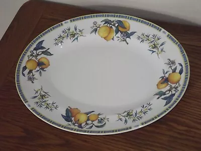 Buy Wedgwood Citrons  Bone China Large Oval Serving Platter / Plate 14  X 11  • 19.95£