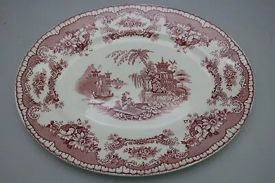 Buy John Maddock Sons Bombay Royal Vitreous Oval 12” X 9.5” Plate Pink • 20.90£