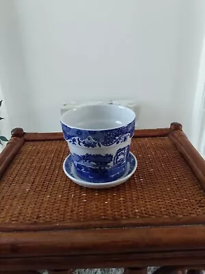 Buy Spode Blue Italian Herb Pot And Stand  - Discontinued  -  Looks New • 26£