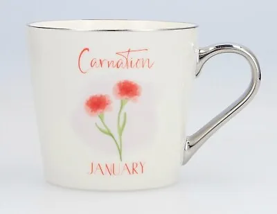 Buy TESCO January Carnation Mug • 9.95£