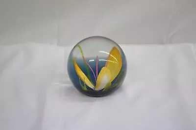 Buy Caithness Fugue Glass Collectors Paperweight #WOL • 10.50£