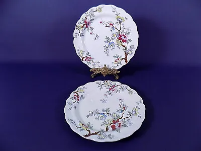 Buy Booths Chinese Tree Salad Plates X 2 • 14.50£