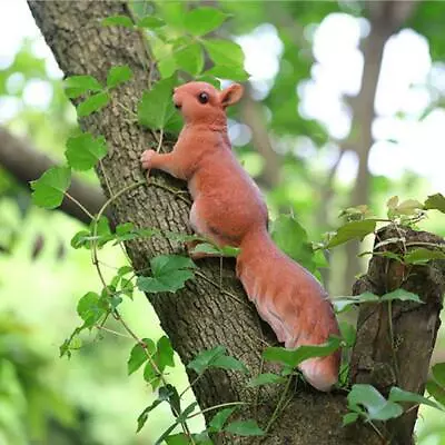 Buy Handcraft Resin Realistic Squirrel Statue Garden Sculpture Tree Ornament • 20£