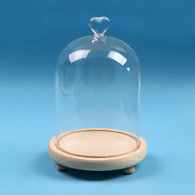 Buy Large Clear Glass Display Stand Bell Jar Dome Cloche With Wooden Base Decor Boxs • 8.95£