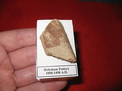 Buy Hohokam Extinct Tribe Indian Pottery Shard 800 Yrs Old Arizona Display Case #9 • 10£