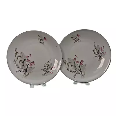 Buy Lot 2  Plates 10” Royal Duchess Mountain Bell China Bavaria Pink Flower MCM • 12.32£