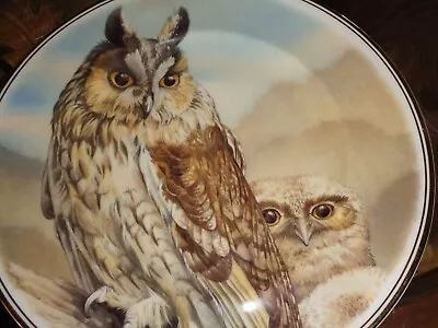 Buy Fenton China Large Collectors Plate LONG-EARED OWL - ASIO OTUS • 12.99£