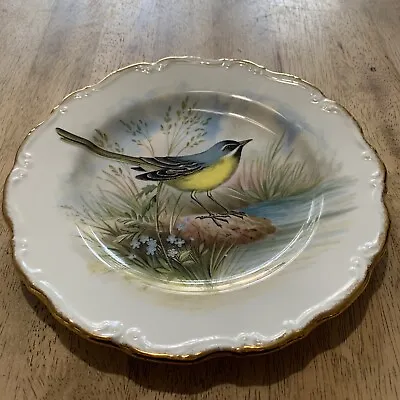 Buy Royal Albert Bone China The Woodland Birds Collection Grey Wagtail Plate • 9.99£