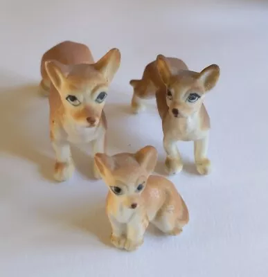 Buy Vintage Bone China Chihuahua Figurine Miniature Dog Figurines • 30£