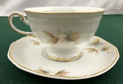 Buy Wellington Thomas Germany Rosenthal Coneflower China Dinnerware Tea Cup & Saucer • 15.16£