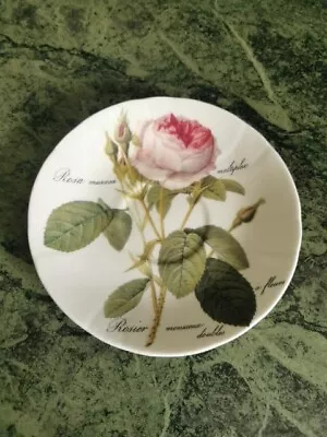 Buy Redoute Roses Roy Kirkham Fine Bone China Made In England Saucer 1996 • 4.10£