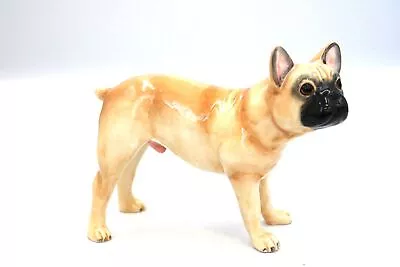 Buy JOHN BESWICK Pampered Pooch JBPP1 French Bulldog DOG FIGURINE 6.5  -  H07 • 9.99£