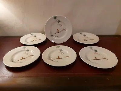 Buy 6 X Royal Doulton 'The Coppice'  Side Plates 16cm D5803 • 6£