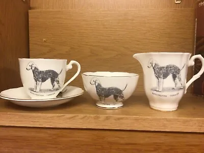 Buy Rare Vintage Bedlington Terrier Cup/Saucer, Milk & Sugar. Royal Grafton China. • 30£
