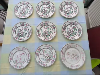 Buy Maddock And Sons Ltd And Lord Nelson Pottery Indian Tree Plates Mixed • 10£