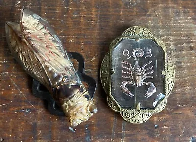 Buy Antique Art Nouveau Vintage French Cicada Insect Brooch Old Gold Glass Scorpion • 20£