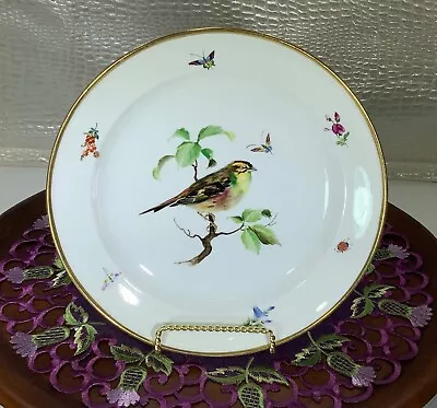Buy Meissen Porcelain China Germany Bird Insects Plate Vintage • 76.72£