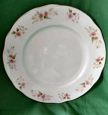 Buy Duchess China England Glen 316 Dinner Plate 9.5  • 9£