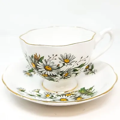 Buy Queen Anne Bone China Cup And Saucer, Yellow Daisies, Made In England • 15.29£