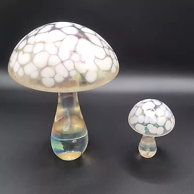 Buy Two Heron Mushrooms 150,75mm Tall White Irredescence  • 35£