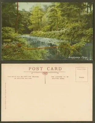Buy Bournemouth Dorset Old Colour Postcard Branksome Chine, River Scene And Trees • 3.99£