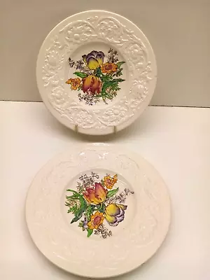 Buy Set Of 2 Booths Silicon China England Corinthian Larkspur Vintage Side Plates • 12£