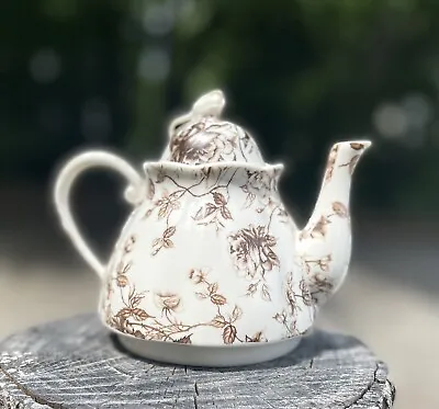 Buy Brown Tolle Teapot + TeaCup + Lid PEPPERTREE TABLETOPS Fine Porcelain 5.5” H • 33.61£