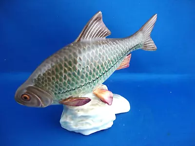 Buy Beswick Roach Fish Gloss Model No. 1874 (1 Fin Reattached) • 39.95£