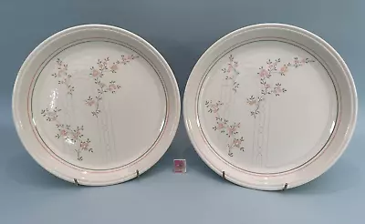 Buy Vintage Coloroll Biltons Pottery Rose Trellis 2 Dinner Plates • 14.99£