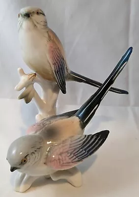 Buy Karl Ens Dresden Porcelain Pair Of Long Tailed Tit Birds Figurine German • 59.99£