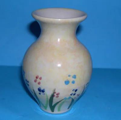 Buy Fiona Bradley Ireland Studio Pottery - Pretty Hand Decorated Vase (M.M) • 30£