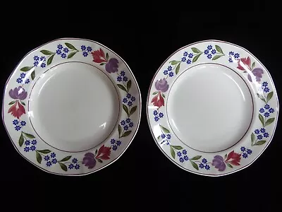 Buy Adams Old Colonial Two Dinner Plates 10.25” English Ironstone VGC • 15£