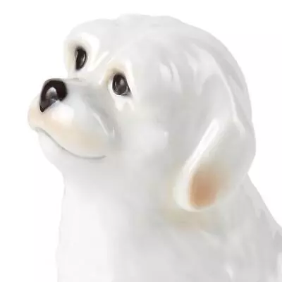 Buy Royal Copenhagen Annual Collection Figurine 2024 Dog Series H10.5cm Japan New • 191£