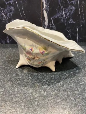 Buy Maryleigh Staffordshire Pottery Conch Shell Planter - Large • 15£