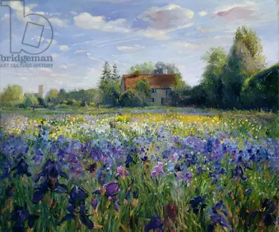 Buy Evening At The Iris Field Flower Garden Ceramic Tile Mural Backsplash • 169.82£