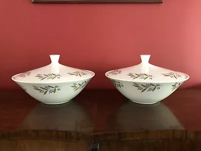 Buy A Pair Of Rare Country Style Ridgeway Staffordshire Tureens - 1959 • 24.99£
