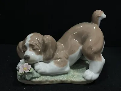 Buy Lladro 6832 A Sweet Smell Dog Smelling Flower Porcelain Figurine • 95.09£