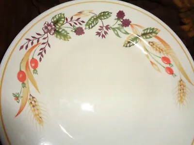 Buy Churchill Staffordshire England Dinner Plate Harvest  • 10.99£