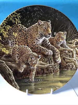 Buy The African  Leopards - Wedgwood Plate • 5£