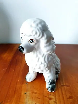 Buy Bone China Poodle Dog Ornament Figurine Vintage Chintz Ceramic Retro • 5£
