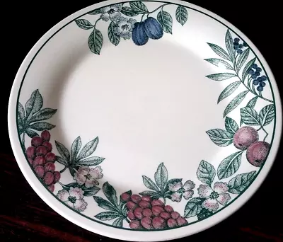 Buy Staffordshire Tableware 10¼ Inch Dinner Plate Plum Cherries Grapes Green Leaves • 8.99£