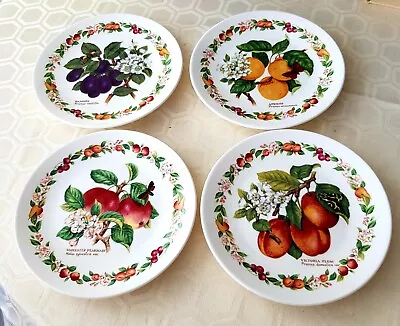 Buy Royal Worcester Fine Bone China Wall Plate X 4 - Orchard Fruits • 20£