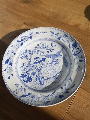 Buy Trinty College Copeland Pottery Plate • 35£