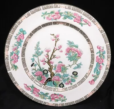 Buy John Maddock & Sons China Indian Tree 7 3/4  Luncheon Plate Set Of 4 • 11.35£