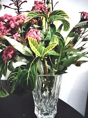 Buy Lead Cut Crystal Flower Vase 6.5  Octagon Shape Weighted Bottom VTG • 20.28£