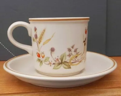 Buy Marks & Spencer M & S Harvest Cups & Saucers 12 Available • 5£