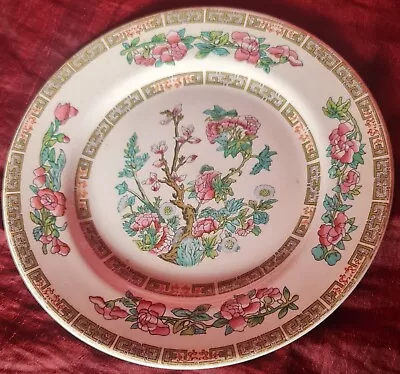 Buy Vintage Plate Indian Tree Lord Nelson Pottery England  • 15£